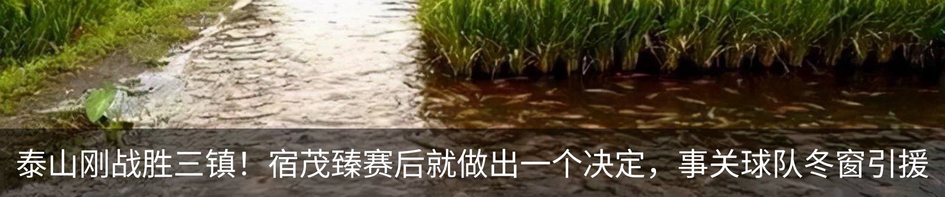 内页banner